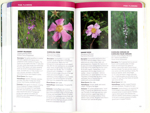 page from Atlantic Coastal Plain Wildflowers by Gil Nelson