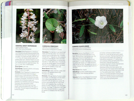 page from Atlantic Coastal Plain Wildflowers by Gil Nelson