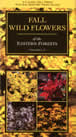 bookcover Wild Flowers of the Eastern Forests by Ritchie Bell and Anne H. Lindsey